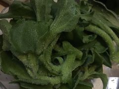 -一叶一世界•素食餐厅(环球中心店)