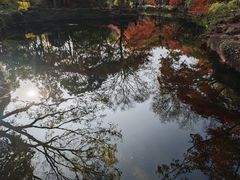 -秋霞圃