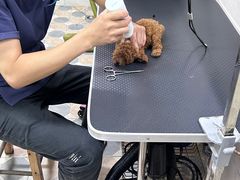 -乐琪宠物医院·犬猫专科·骨外科·急重症