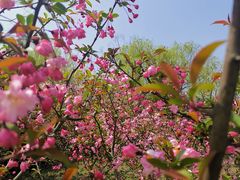 -上海吴淞炮台湾国家湿地公园