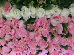 -上海佘山国家森林公园西佘山园