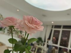 -开间茶馆·围炉煮茶