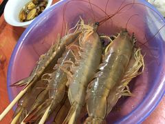 -蚝乡农庄(铁涌赤岸店)