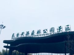 门面-黄海国家森林公园