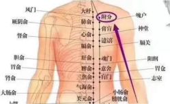 -香薇妮丝·定制减肥·身材管理
