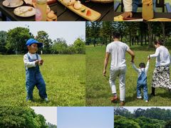 -福建鲤鱼洲酒店