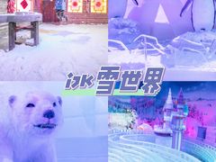-长鹿旅游休博园
