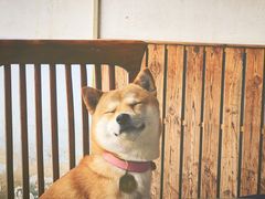 -姥家大锅台水库渔家