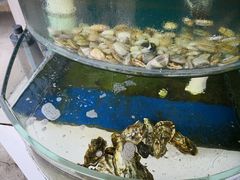 -东戴河风景区-止锚湾