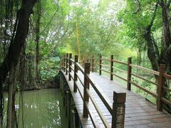 -大湾区中央湿地公园