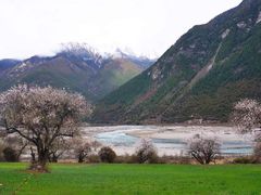 iphone_upload_pic-罗布林卡