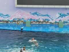 -北戴河圣蓝海洋公园