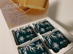 -中部国际机场