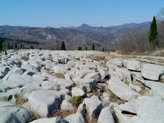 -原山国家森林公园