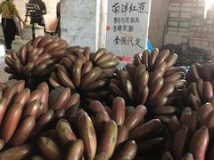 -海吉星市场