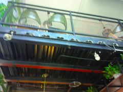 大堂-Thai Basil罗勒叶泰式餐厅(时代天街店)