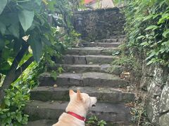 -丹山赤水风景名胜区