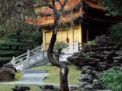 -深圳国际园林花卉博览园