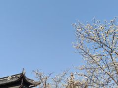 -苏州上方山国家森林公园