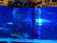 -成都浩海立方海洋公园