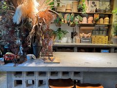 -自由生长植物工作室(深港花卉中心店)