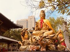 -西安大兴善寺