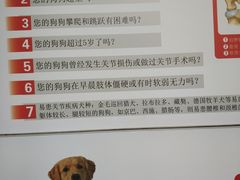 -伟伟宠物医院·瑞派猫友好医院·猫科(光谷店)