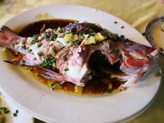 清蒸千鲷-秋姐美食店(旅游大道店)
