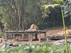 -广州长隆野生动物世界
