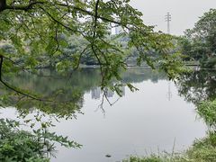 -重庆彩云湖湿地公园
