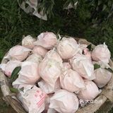 蒲江自家果园耙耙柑 10斤包邮 45-50元