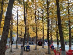 -辽宁大学(崇山校区)