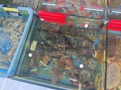 -七鲜渔港美食餐厅(巽寮湾海景店)