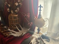 -雪灵魔法世界SHELLY’S TAROT(大良桂畔里店)