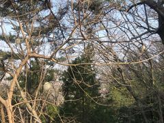 -狼山风景名胜区