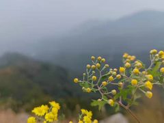 -阳台山自然风景区