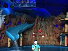 -烟台海昌鲸鲨海洋公园