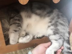-小时光咖啡馆(北锣鼓巷店)