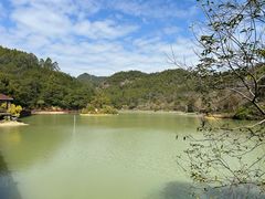 -广州白江湖森林公园