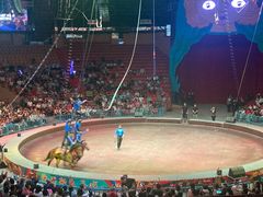 -俄罗斯国家大马戏团