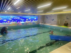 -水贝乐国际水育儿童游泳中心(新业广场店)