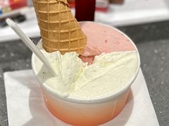 肉桂罗勒-Dip in Gelato(富民路店)