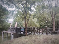 -自然谷恐龙园