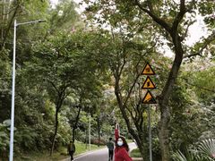 -火炉山森林公园