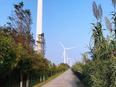 -上海海湾国家森林公园