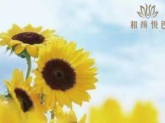 -维也纳国际酒店·广州南站钟村地铁站店
