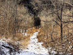 -阳台山自然风景区