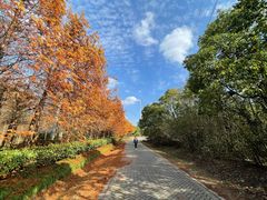 -上海海湾国家森林公园