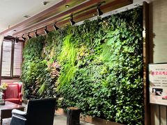 -泽云梵莲花足浴 按摩 SPA(滨湖店)