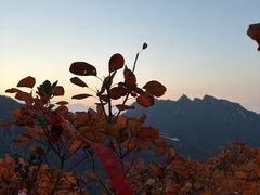 -秦岭终南山世界地质公园翠华山景区